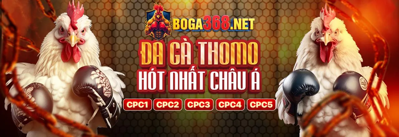 Đá gà trực tuyến kịch tính tại v7sb nổ hũ